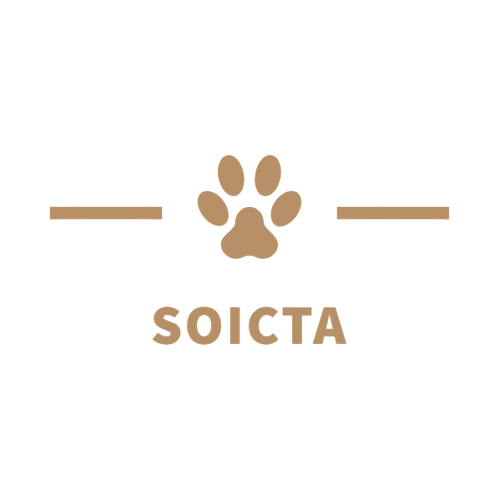 SOICTA